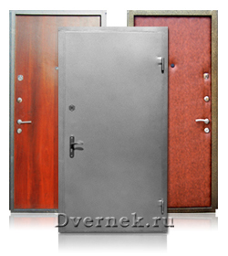 Металлические двери с напылением в Волоколамске