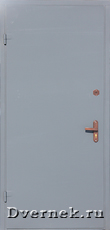 Металлическая дверь для дачи покрас